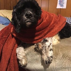 Meet your Posher, Kailey